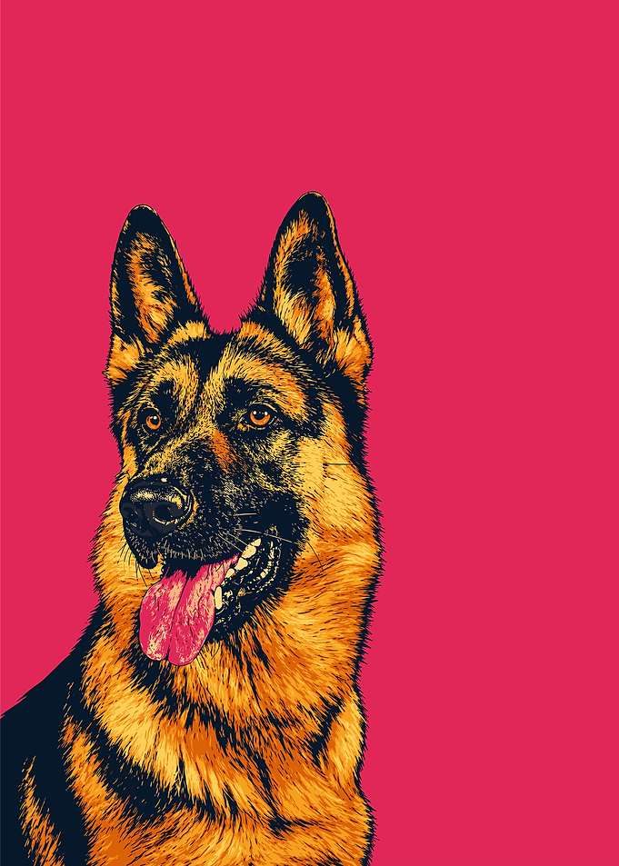 German Shepherd Dog Pop Art