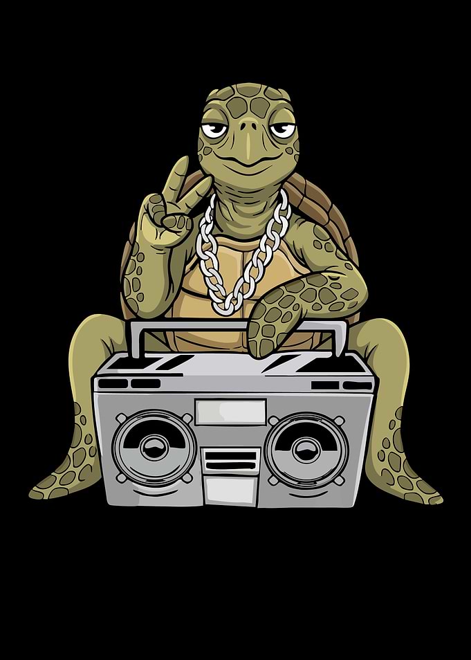 Sea Turtle Lover Hip Hop Kids Music Boys Sea Turtle