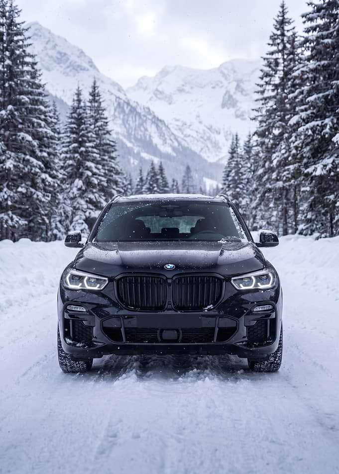 Black BMW X5 in Snowy Forest