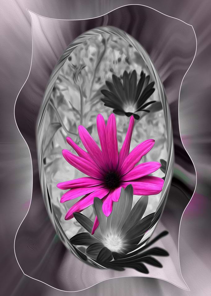 Shades of purple