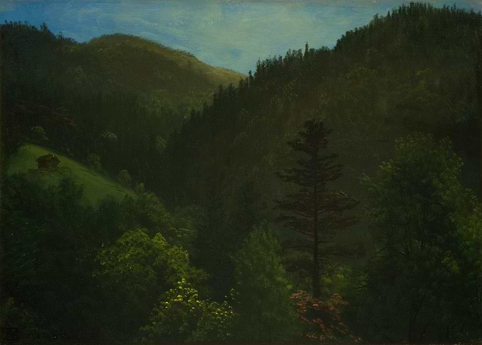 Mountain Valley with Cabin and Forest