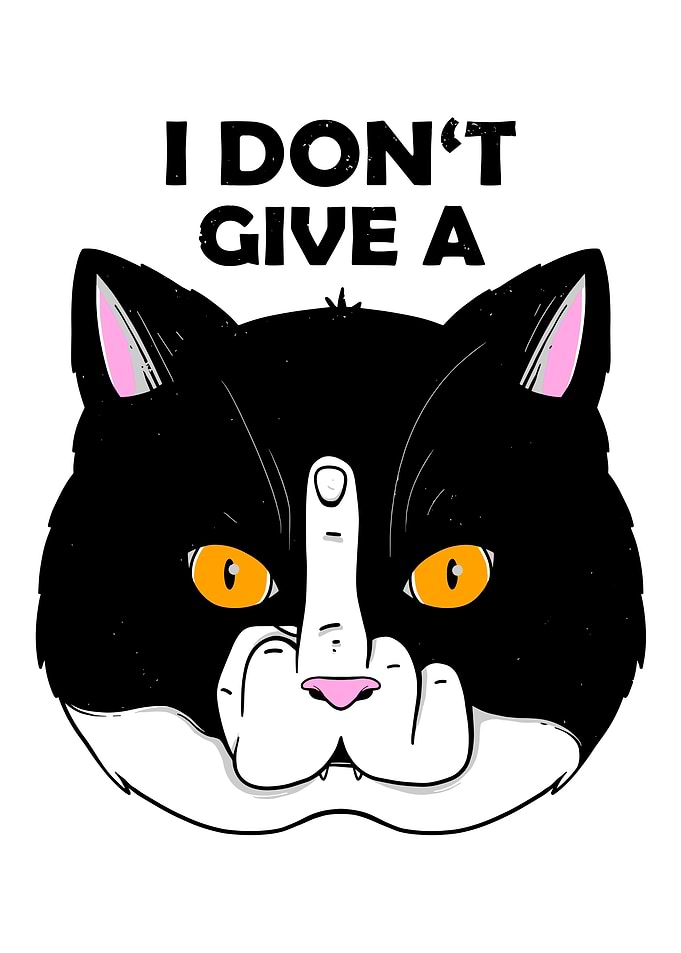 Cat Giving Middle Finger