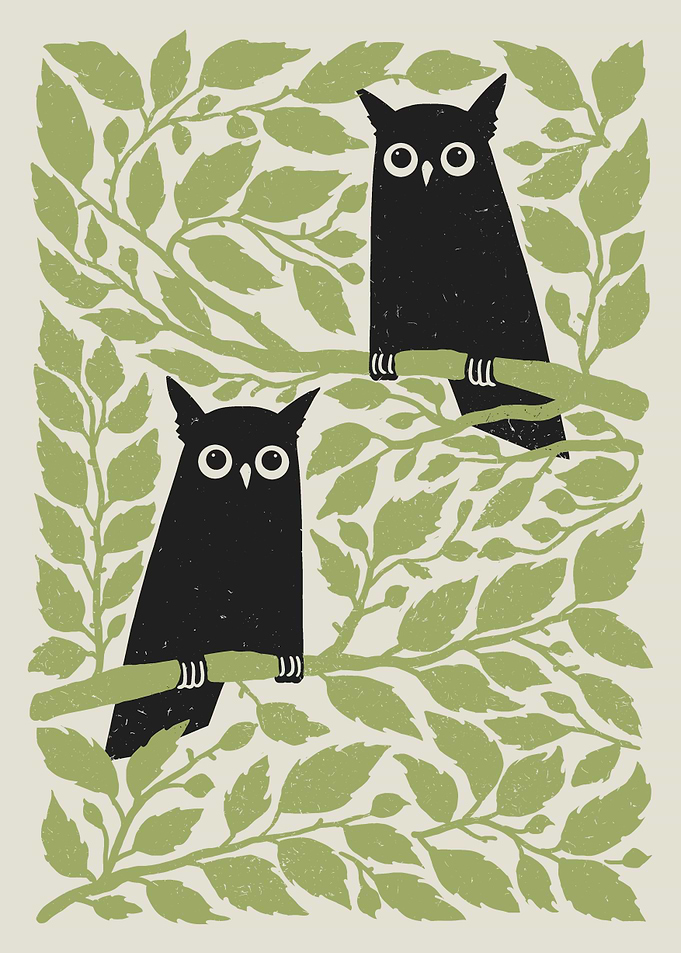 Quiet Owl