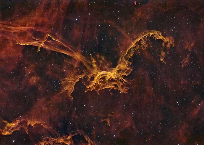 The Golden Dragon