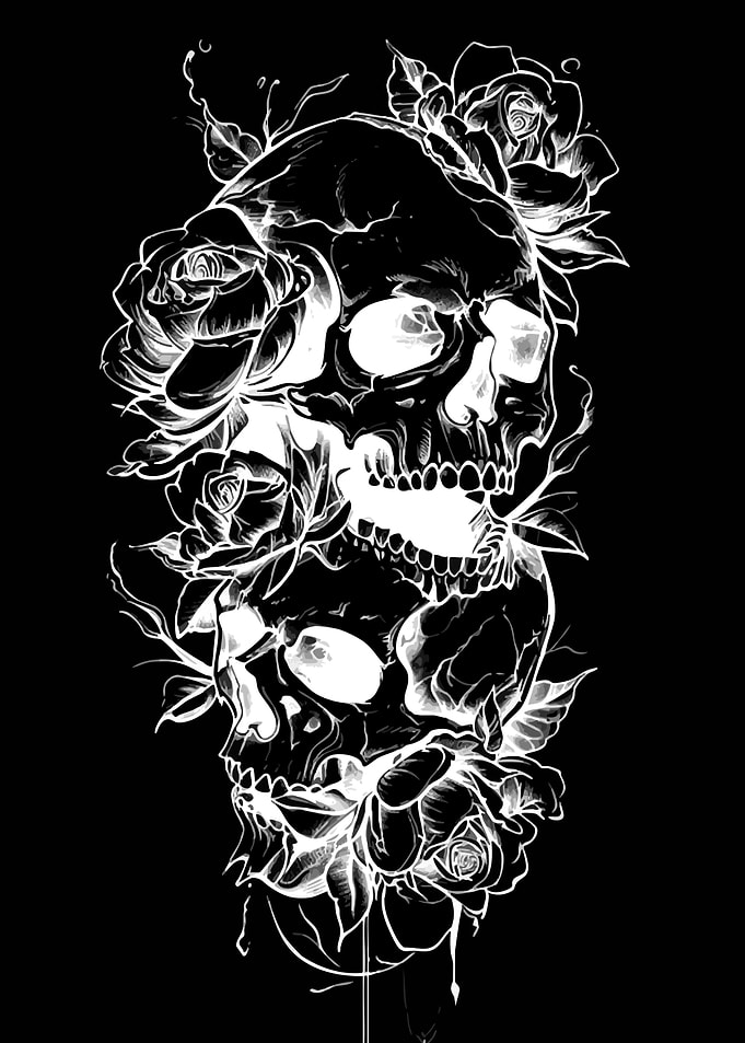 Skulls and Roses Illustration