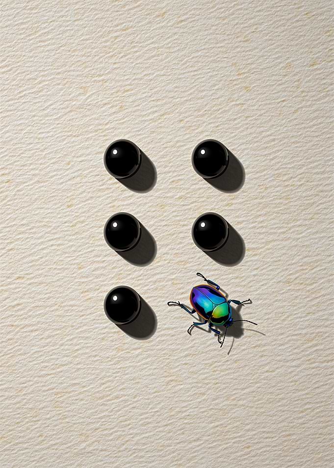 Iridescent Beetle and Black Spheres