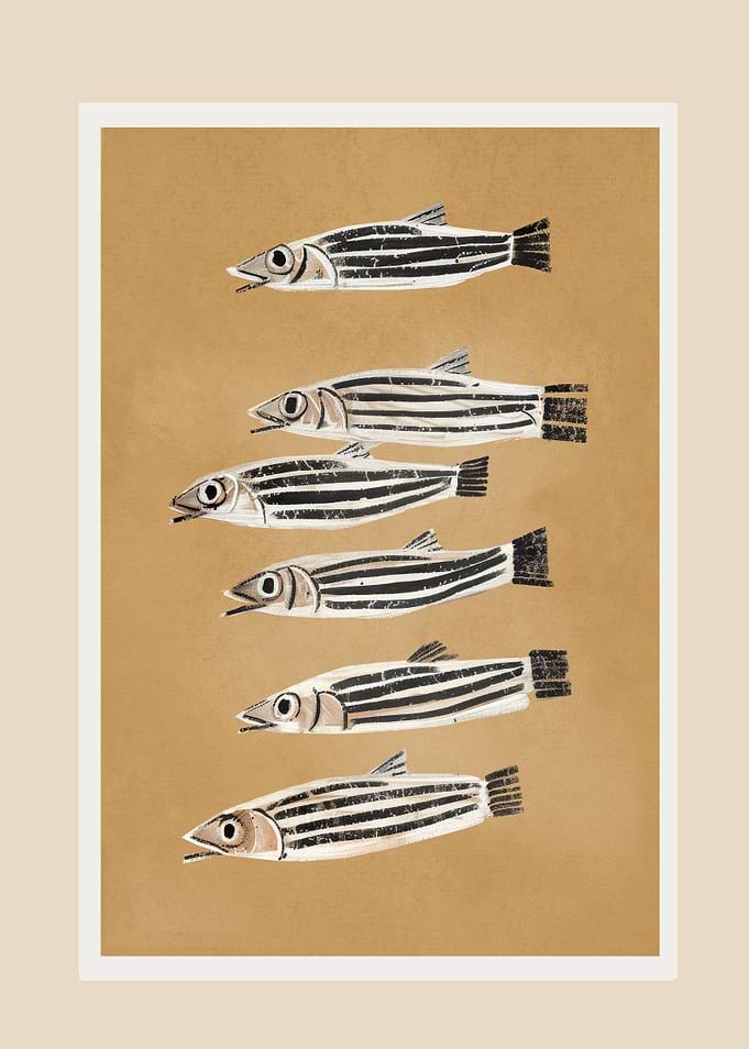 Minimal Fish Study