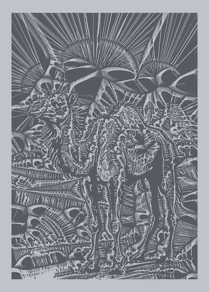 Surreal Camel Illustration