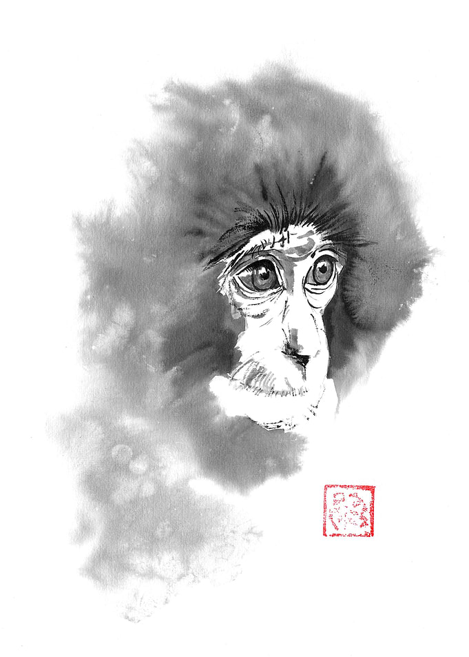Ink painting of a monkey's face