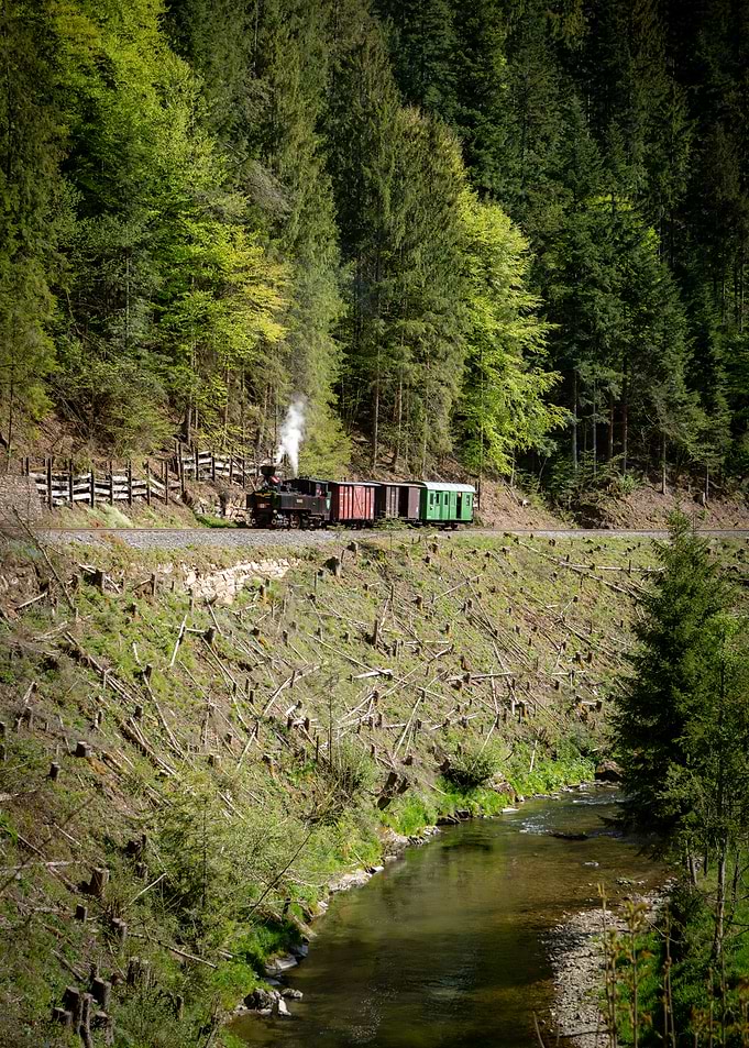 Austrian Steam Train in a Forest by a River