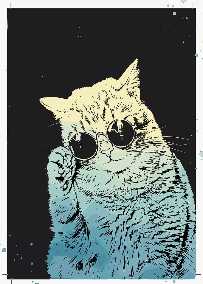 Cool Cat Wearing Sunglasses