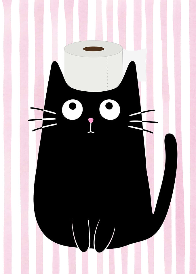 Black Cat with Toilet Paper Hat