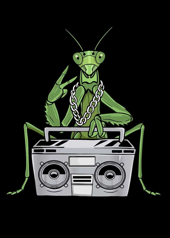 Praying Mantis Lover Hip Hop Kids Music Boys Praying Mantis