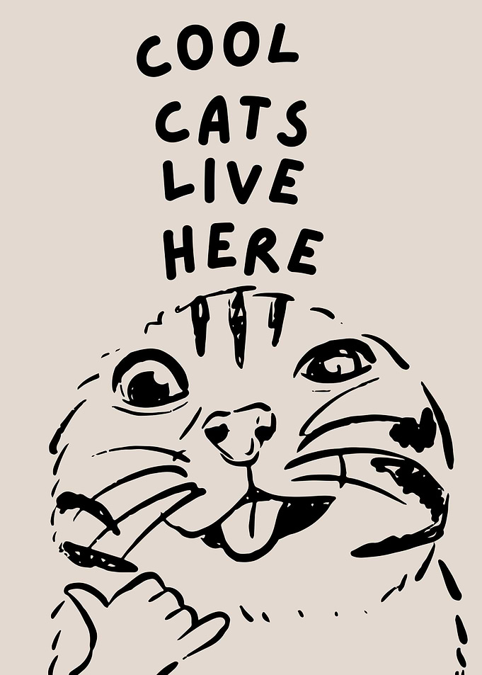 Cool Cats Live Here, Cat Lover Home Decoration