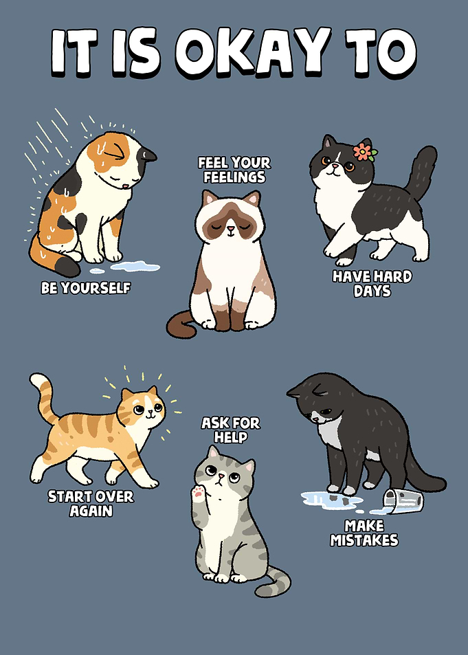 It Is Okay To Cats
