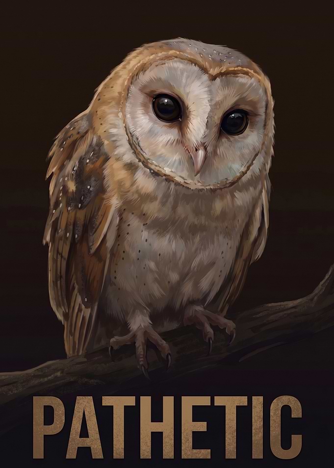 Barn Owl with 'Pathetic' Text