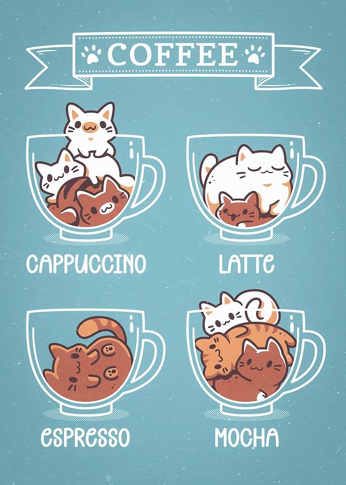 Cat Coffee Guide
