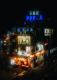 Japanese Street at Night