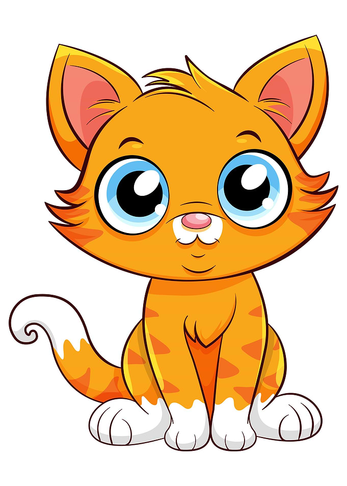 Cute Orange Tabby Kitten