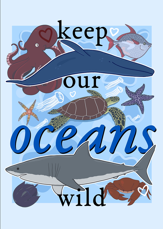 Keep Our Oceans Wild