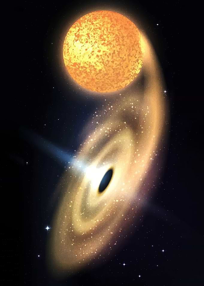 Black Hole Accretion Disk and Star