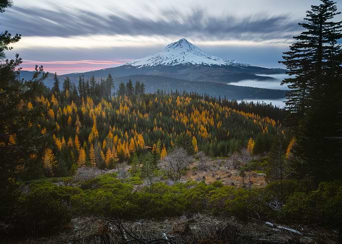 Majestic Mountain Peak Over Autumn Forest