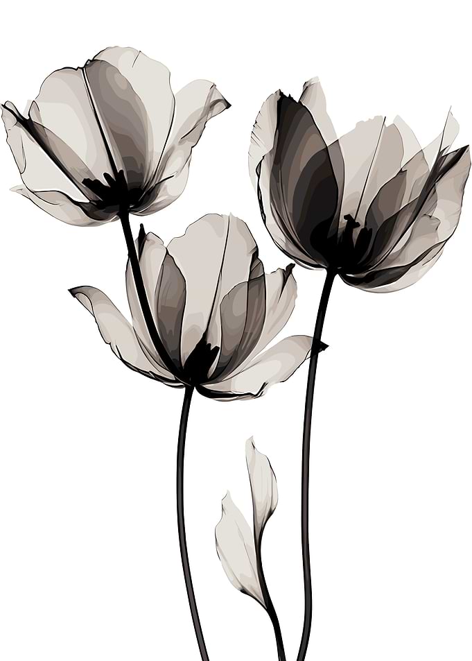 Monochromatic Tulip Floral Art