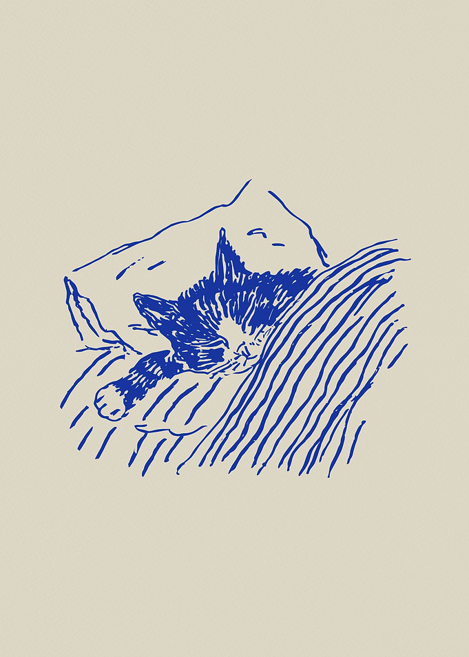 Kitten Sleeping on Pillow