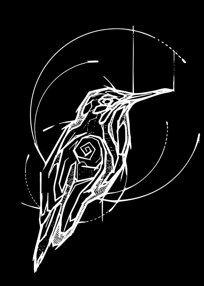 Geometric Kingfisher Bird Illustration