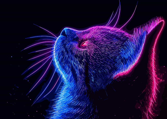 Neon Cat Portrait
