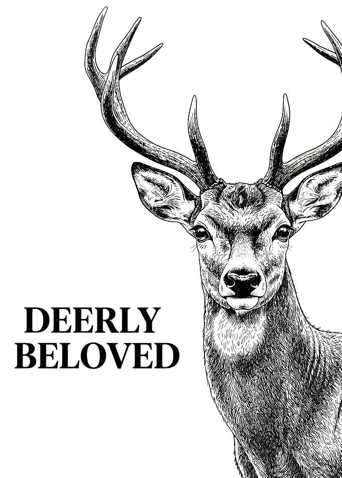 Deerly Beloved Majestic Buck Illustration