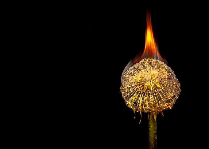 Charred Life