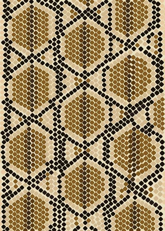 Snake Skin Pattern