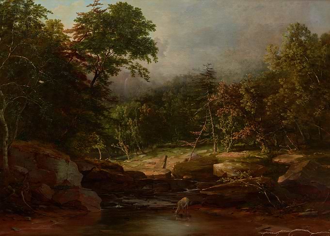 Deer drinking from a forest stream