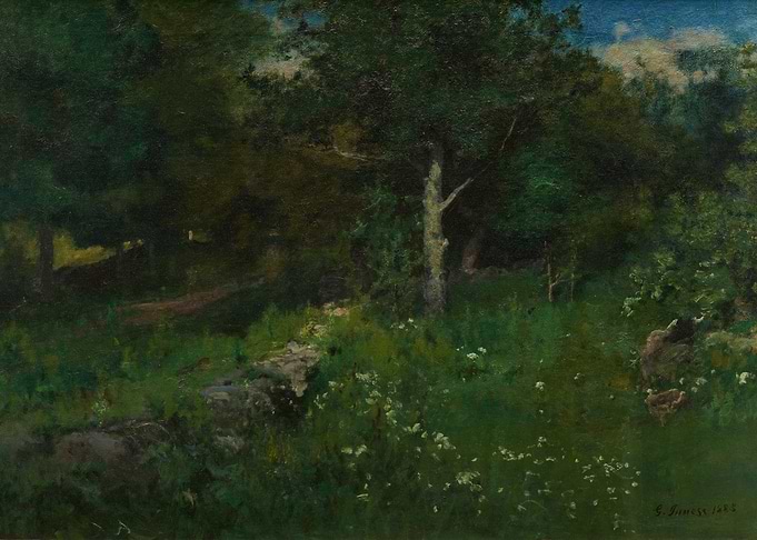 Lush Forest Clearing with Wildflowers