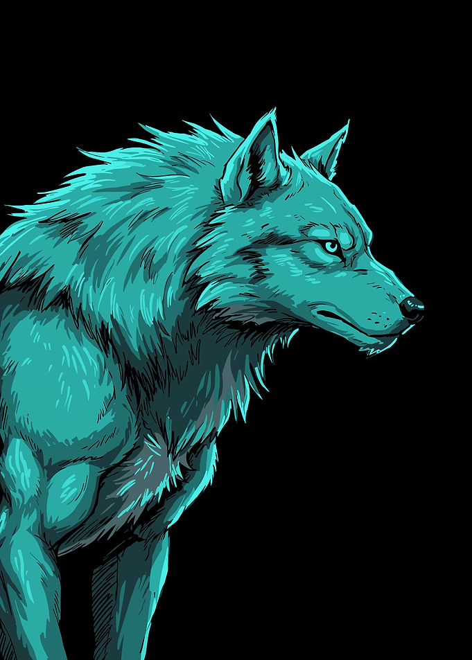 Cyan Wolf Portrait