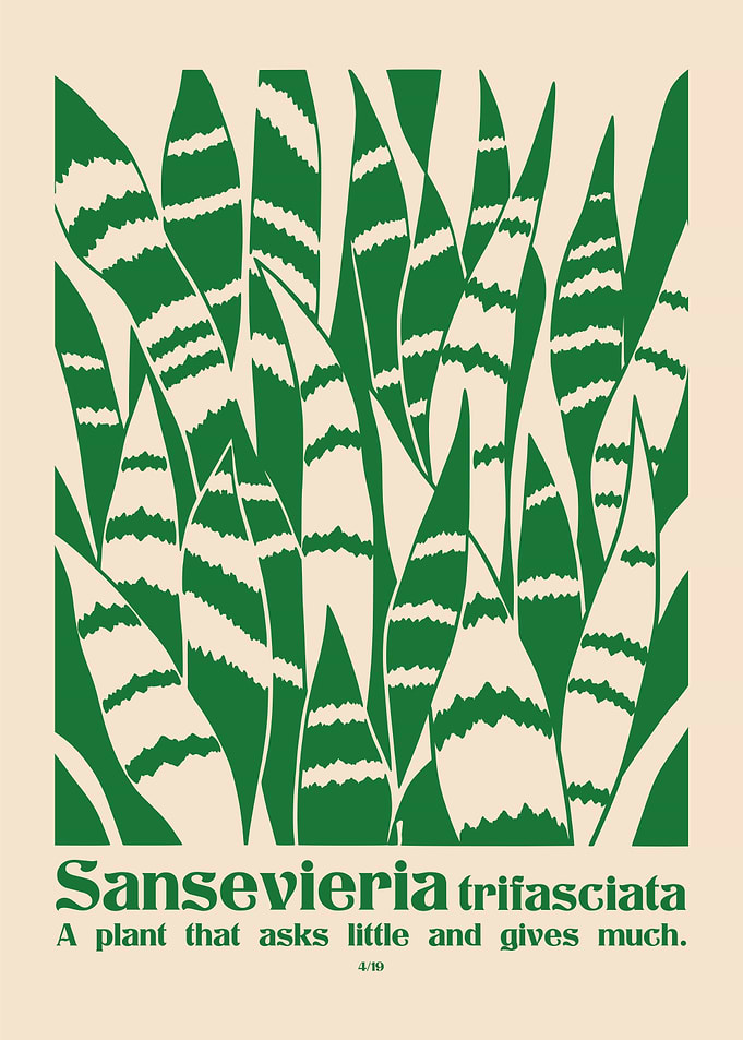 Sansevieria Trifasciata Plant Wall Art