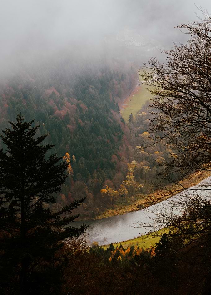 Misty Mountain Valley with River