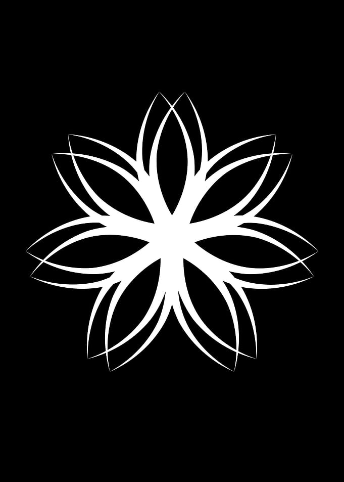 White Lotus Flower on Black Background