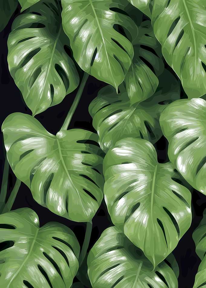 Monstera Leaves Pattern 2