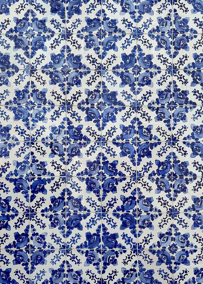 Blue and White Floral Tiles
