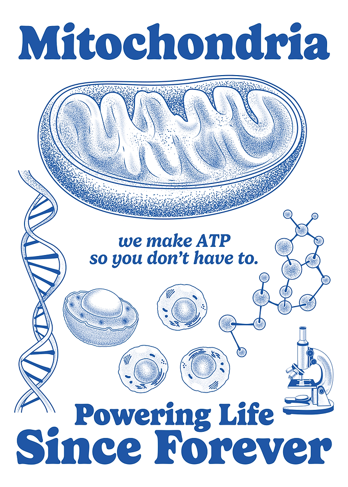 Mitochondria Powering Life