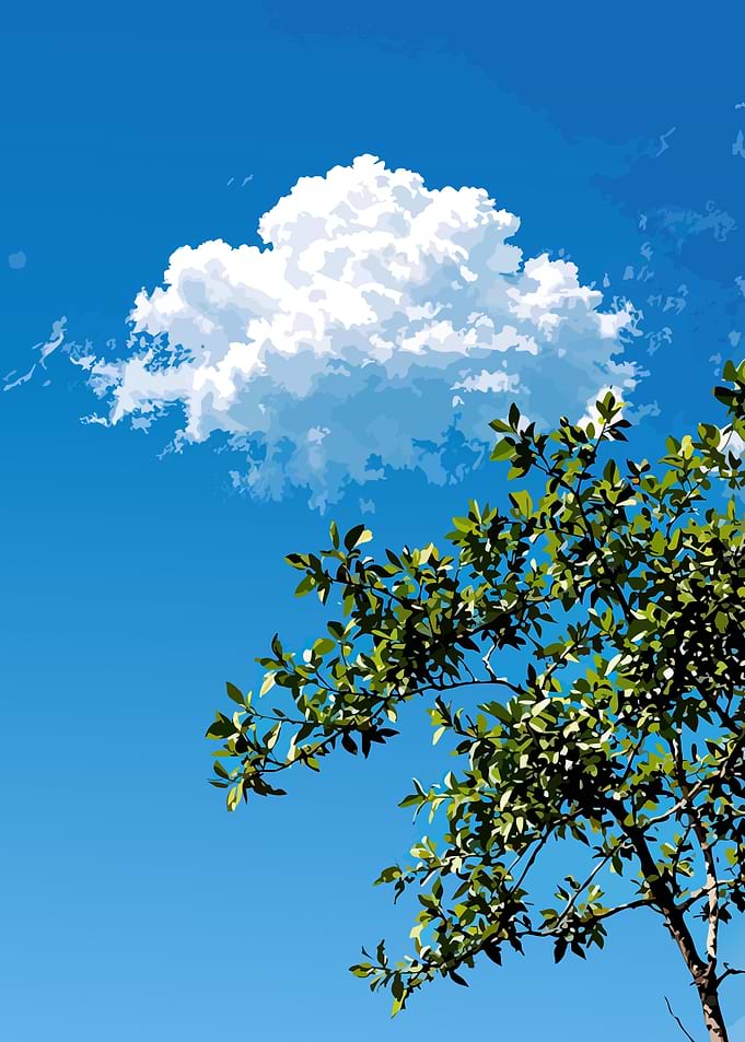 Blue Sky with Cloud and Tree Branches