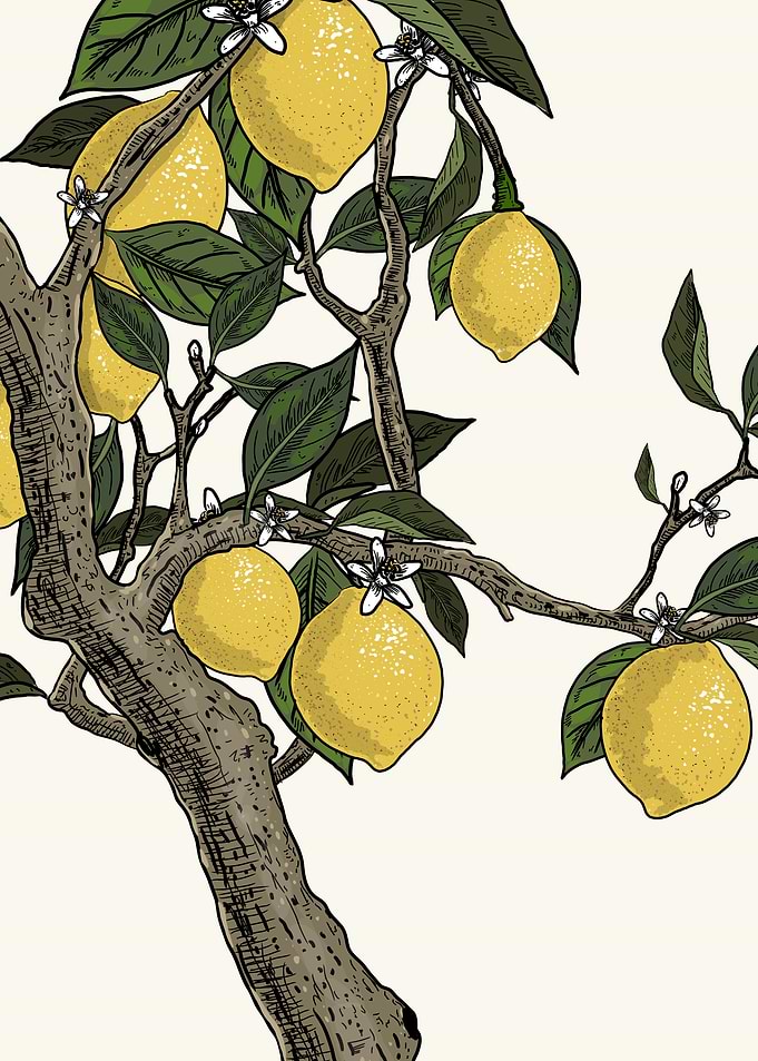 Lemon Tree Branches with Fruit and Flowers
