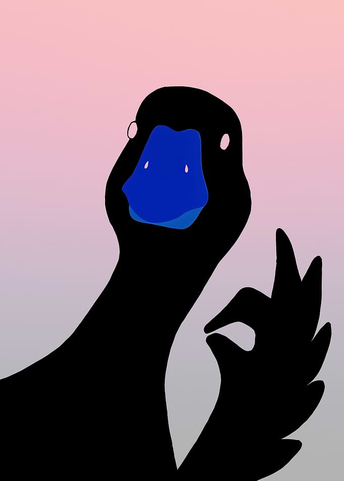 Black Duck Making OK Gesture