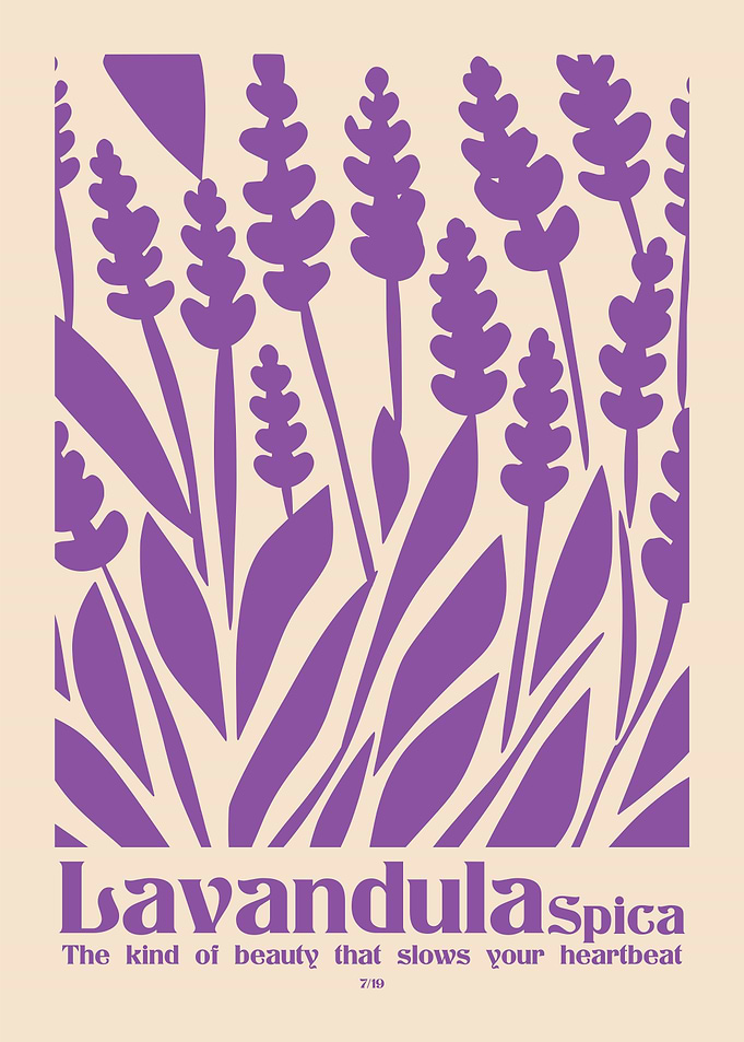 Lavender Spica Botanical Art