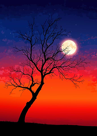 Silhouette Tree Under Full Moon