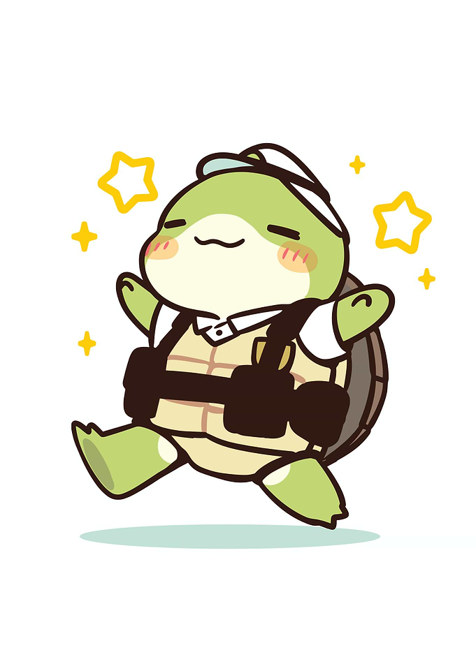 Cute Turtle Character with Stars