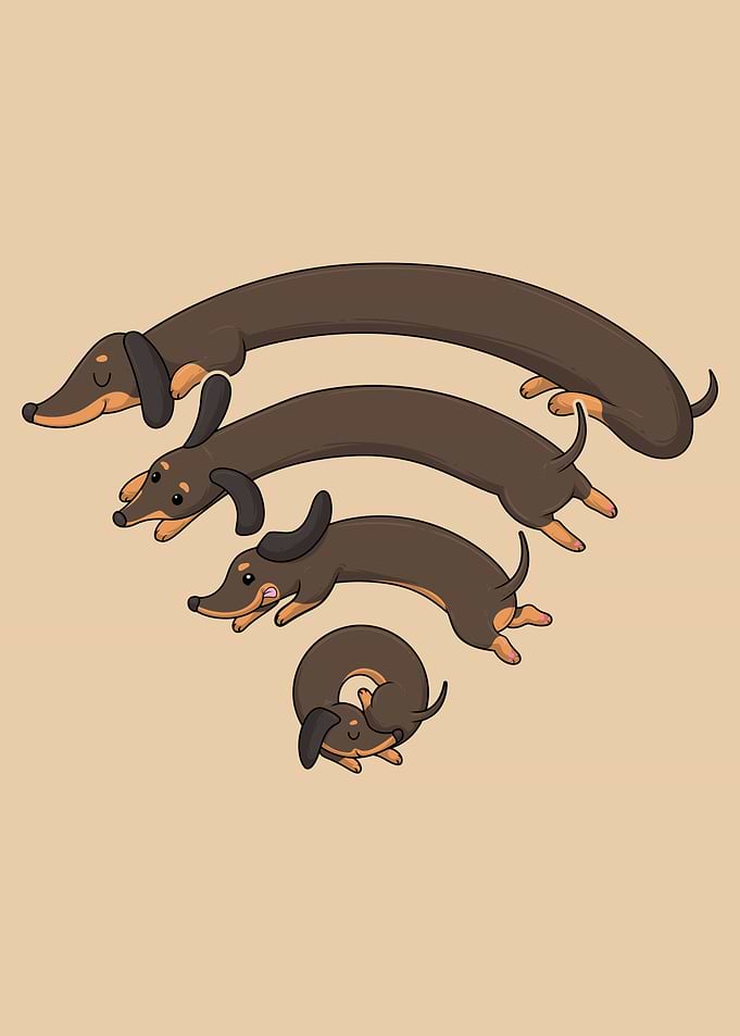 Dachshund WiFi Signal