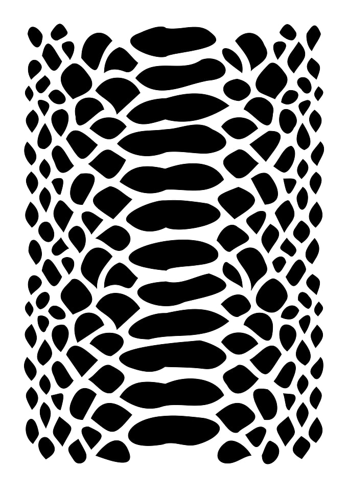Black Snake Skin Pattern